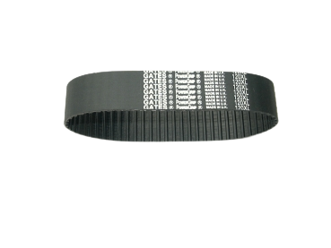 GATES Zahnriemen 22 mm