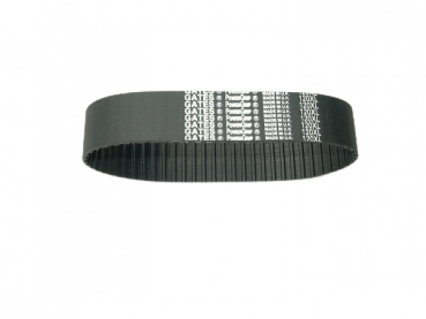 GATES Zahnriemen 22 mm