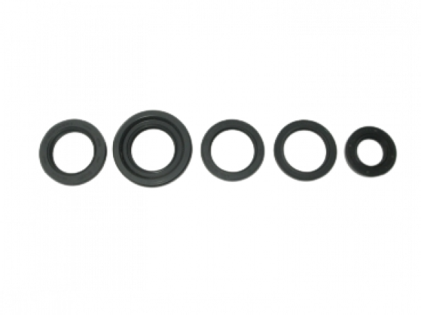G60/G40 Wellendichtringe